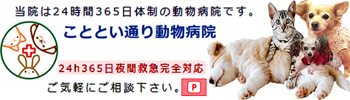 こととい通り